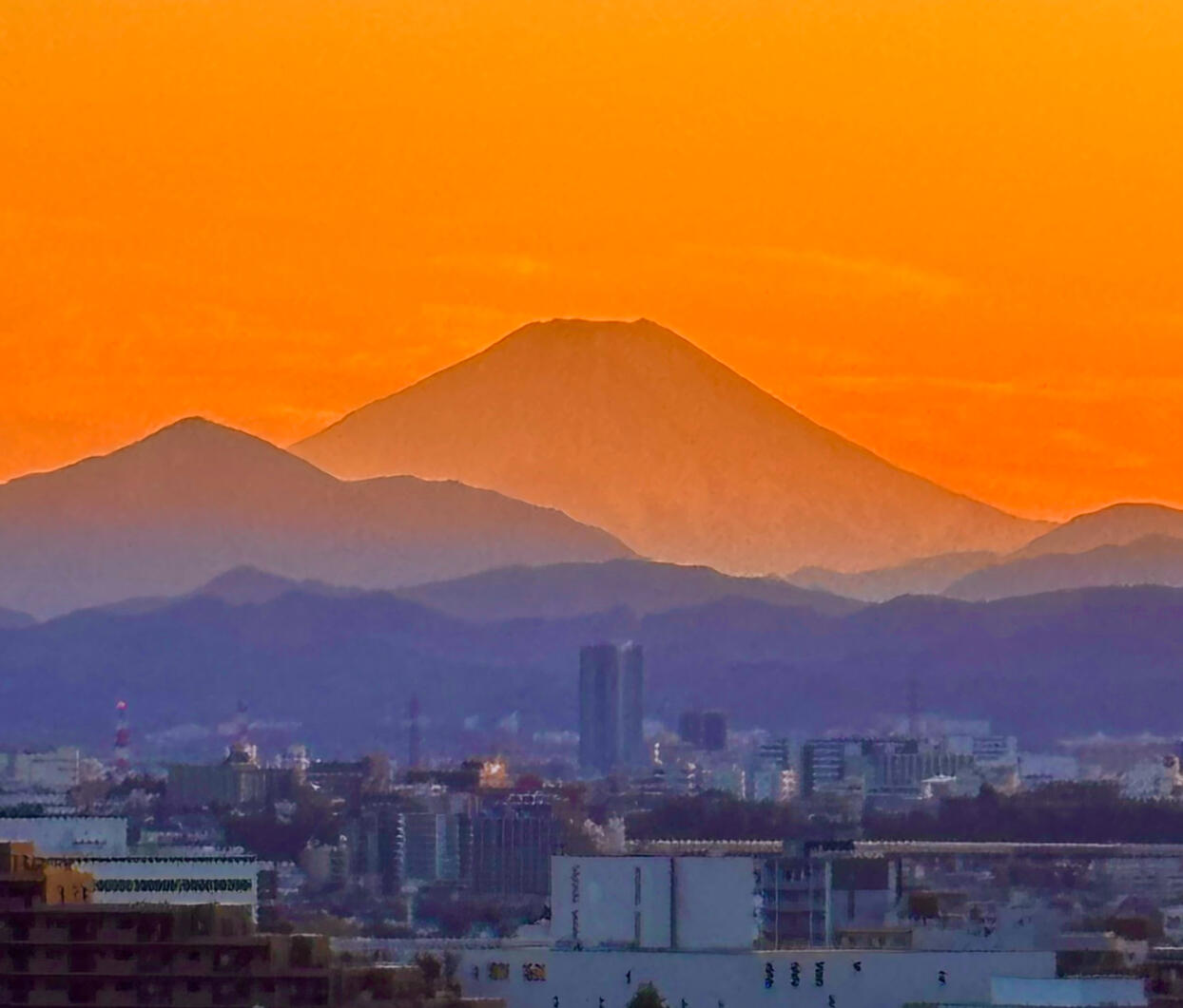 Image of Japan A to Z newsletter archive